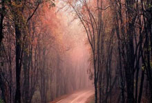 世预赛-罗梅尼连场破门 印尼1-0巴林积9分六月能送国足出.