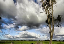 [综合]健康早间操：“减脂期”要不要吃主食？.